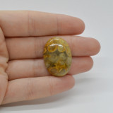 Cabochon coral fosilic 28x20x7mm c39, Stonemania Bijou