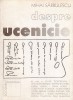 Mihai Sarbulescu - Despre Ucenicie (Anastasia, 2001) artisti romani: Horia Bernea, Constantin Flondor, Ion Grigorescu, Sorin Dumitrescu, Paul Gherasim