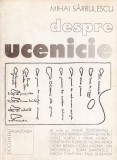 Mihai Sarbulescu - Despre Ucenicie (Anastasia, 2001) artisti romani: Horia Bernea, Constantin Flondor, Ion Grigorescu, Sorin Dumitrescu, Paul Gherasim