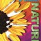 Sticker by Numbers: Nature: Create Amazing 3-D Pictures