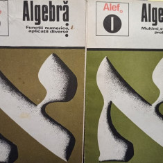 Algebra, 2 vol. (Alef)