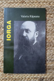 Valeriu Rapeanu - Nicolae Iorga