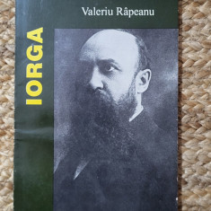 Valeriu Rapeanu - Nicolae Iorga