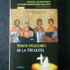 SILVAN THEODORESCU - SFINTII MUCENICI DE LA NICULITEL volumul 9