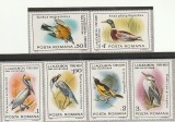 ROMANIA 1985 LP 1129 PASARI OCROTITE BICENTENARUL AUDUBON SERIE MNH NESTAMPILATA