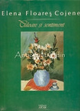 Culoare si Sentiment - Elena Floares Cojenel, Album Pictura, Art XXI, 2006, Iasi, Cartonata, Romana, Engleza, Franceza
