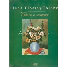 Culoare Si Sentiment - Elena Floares Cojenel
