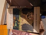 Și iată ca s-a arătat un cal galbui vintage