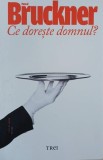 Ce doreste domnul? Craciun la palat - Pascal Bruckner