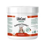 Cumpara ieftin Gel incalzitor Puterea Ursului BIO Krauter&reg;-250 ml, Altele