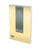 Bloc Notes A6 cu spira metalica
