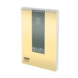 Bloc Notes A6 cu spira metalica