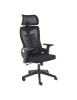Scaun birou ergonomic HM Polon, mesh, mecanism inclinare, baza polipropilena, suport lombar, tetiera, 100 kg, negru