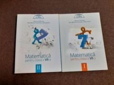 MARIUS PERIANU MATEMATICA PENTRU CLASA A VII A 2 VOLUME CLUBUL MATEMATICIENILOR