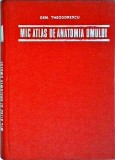 Dem. Theodorescu - Mic atlas de anatomia omului