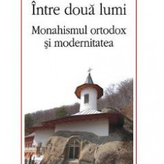 Intre doua lumi. Monahismul ortodox si modernitatea - Mirel Banica