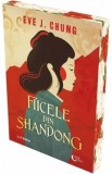 Fiicele din Shandong - Eve J. Chung