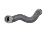 Furtun radiator MERCEDES E-CLASS (W212) (2009 - 2016) THERMOTEC DWM024TT
