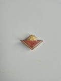 Insignă Rară &ndash; FRUNTAȘ &Icirc;N MUNCA PATRIOTICĂ &ndash; RSR &ndash; 3 cm &ndash; Colecție