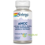 AHCC Plus Nac &amp; Beta Glucan 30cps Secom,
