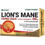 Coama Leului (Lion&#039;s Mane) 500mg 30cps