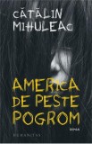 America de peste pogrom - Catalin Mihuleac