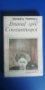 Myh 712 - NICOLETA VOINESCU - DRUMUL SPRE CONSTANTINOPOL - ED 1983