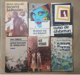 6 x Literatură feminină rom&acirc;nească, anii &#039;80: Lucia Demetrius, Ana Simion etc.