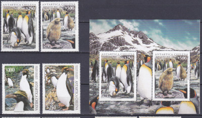 DB1 Fauna Pinguini 1995 - 1996 Chile 4 v + SS 1996 MNH foto