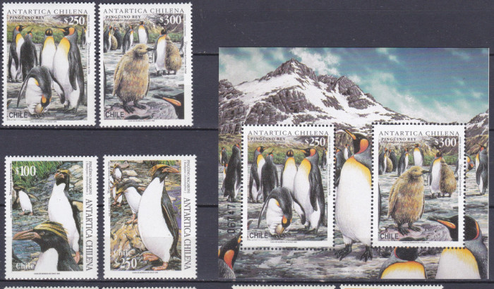 DB1 Fauna Pinguini 1995 - 1996 Chile 4 v + SS 1996 MNH