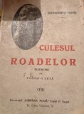 CULESUL ROADELOR RABINDRANATH TAGORE, Alta editura