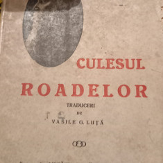 CULESUL ROADELOR RABINDRANATH TAGORE