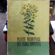 PLANTE MEDICINALE DIN FLORA SPONTANA - CORNELIU CONSTANTINESCU