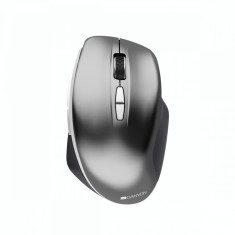 Mouse Wireless Canyon CNS-CMSW21DG Graphite foto