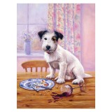 Prima pictura pe numere junior mica - Catelus flamand, Jad