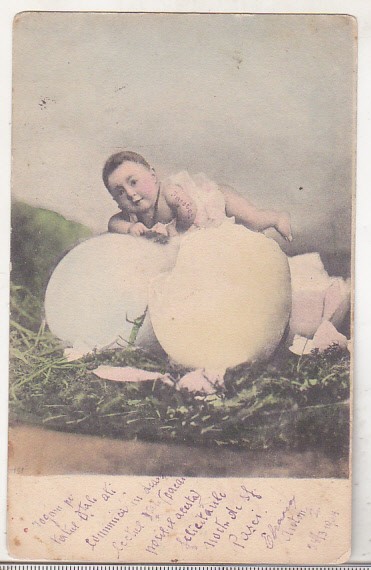 bnk cp Felicitare uzata circulata spre Braila 1904