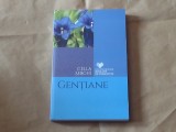 CELLA SERGHI - GENTIANE