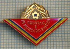 Y 853 INSIGNA - PIONIERI -FRUNTAS IN MUNCA PATRIOTICA - PENTRU COLECTIONARI foto