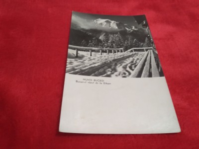 CARTE POSTALA MUNTII BUCEGI-BUCSOIUL VAZUT DE LA DIHAM CIRCULATA foto