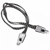 Cordelina bicicleta, 0.7m, 3 fire, ATT-080043.3