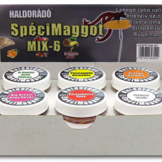 Haldorado - Momeala artificiala SpeciMaggot - MIX-6 , 6 arome intr-o cutie