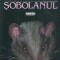 Sobolanul - Andrzej Zaniewski