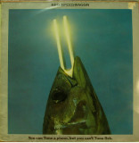 Vinil REO Speedwagon &lrm;&ndash; You Can Tune A Piano, But You Can&#039;t Tuna Fish (VG), Rock