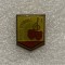 Insigna pionier interpret clasa I