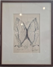 Viorel Marginean, Fluture, 1987