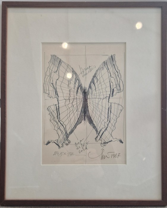 Viorel Marginean, Fluture, 1987
