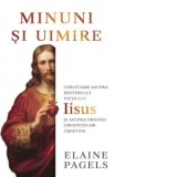 Minuni si uimire. Cercetare asupra misterului vietii lui Iisus si asupra originii credintelor crestine - Elaine Pagels, Radu Cosmin Savulescu