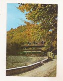 RF214 - Carte Postala - Valea Jiului. Lunca Florilor, circulata 1972