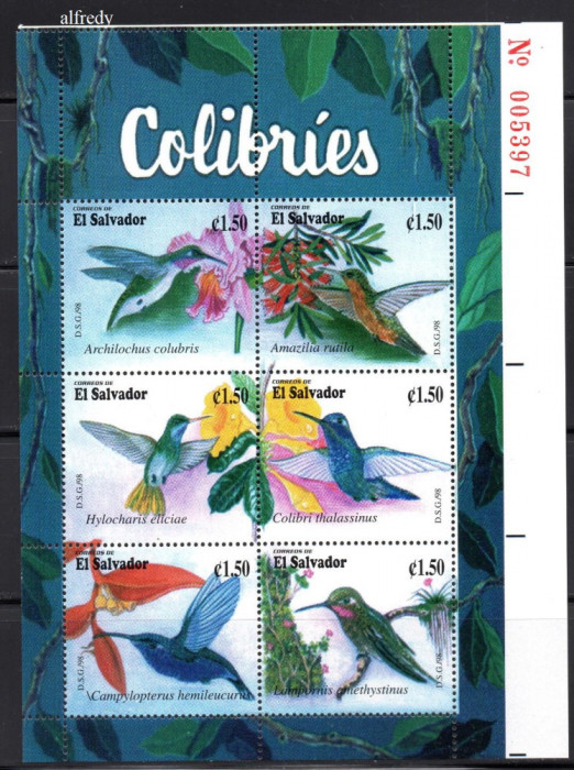 SALVADOR 1998, Fauna, Pasari, MNH, serie neuzata