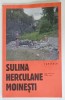 SULINA , HERCULANE , MOINESTI , GHID JURNALISTIC PRIN ORASE UITATE , creat de SCENA 9 , PREZINTA HALOURI DE APA * , ANII &#039;2000